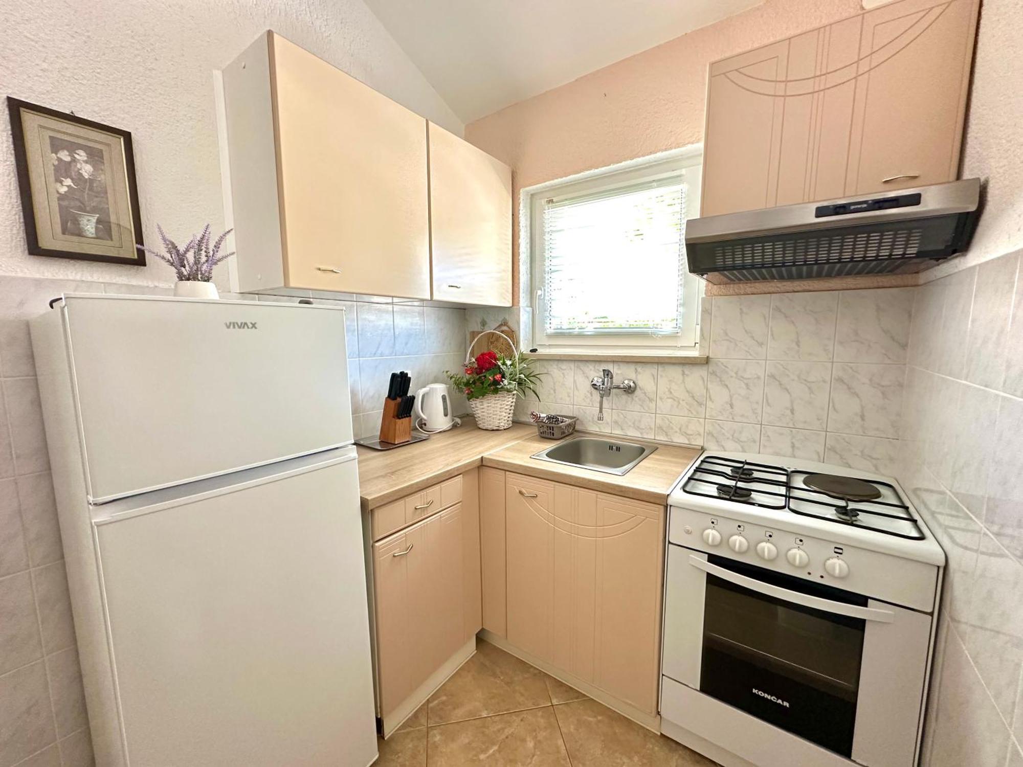 Apartment Ivica *
